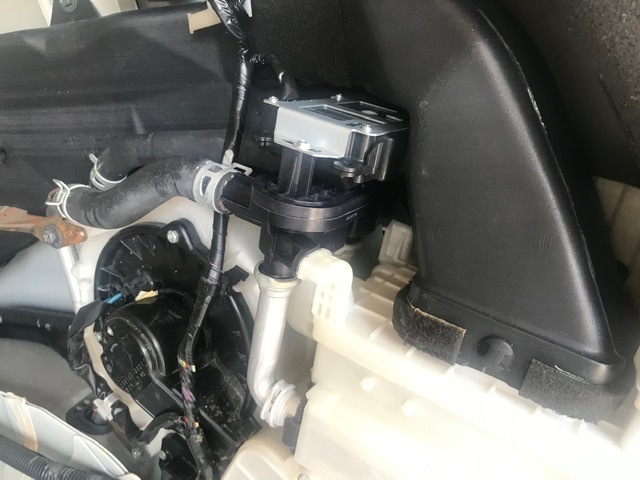 エアコン分解洗浄　アルファード　DAA-ATH10W　 (1).jpg